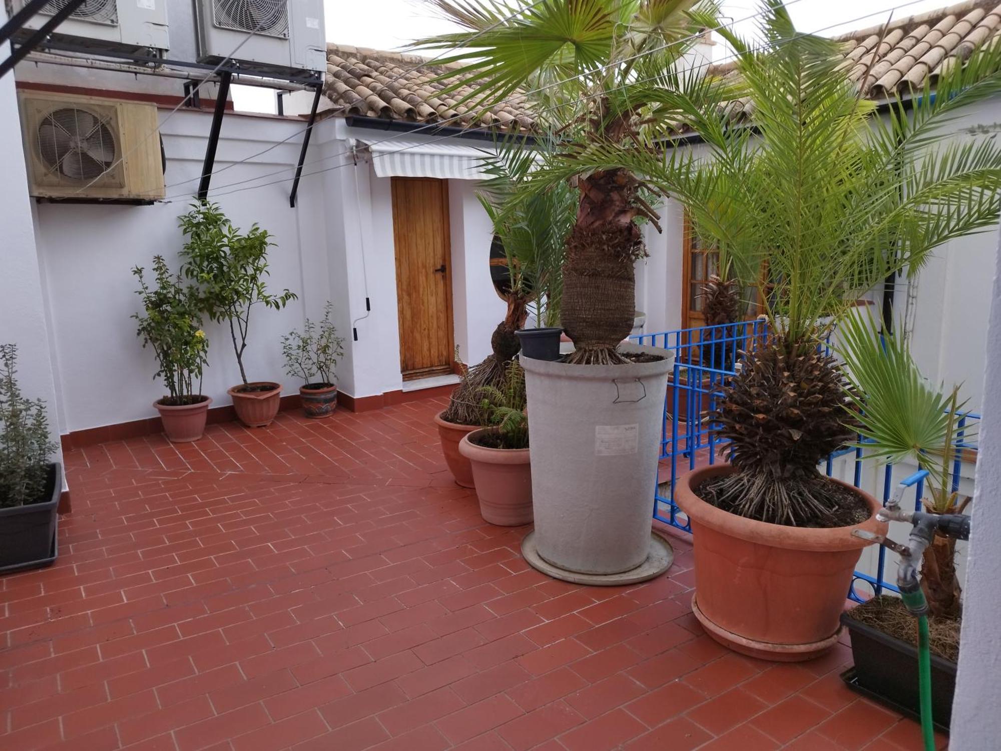 Patio De La Escalera Villa Cordoba Exterior photo